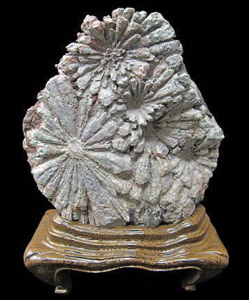 菊花石（きっかせき）の販売ページです。