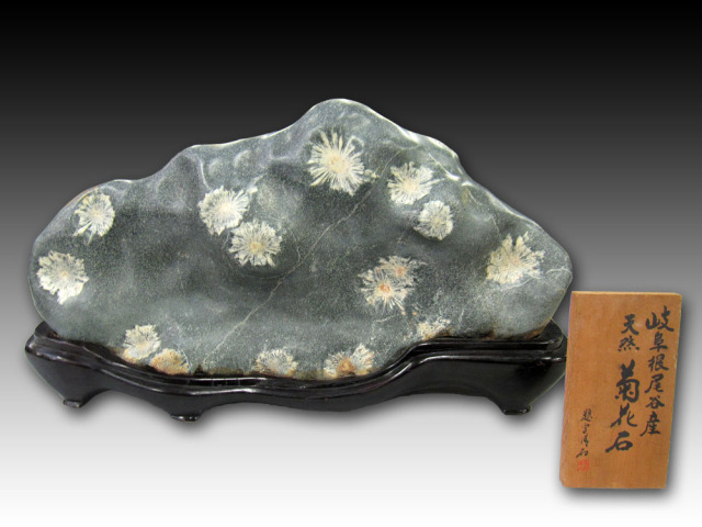 菊花石