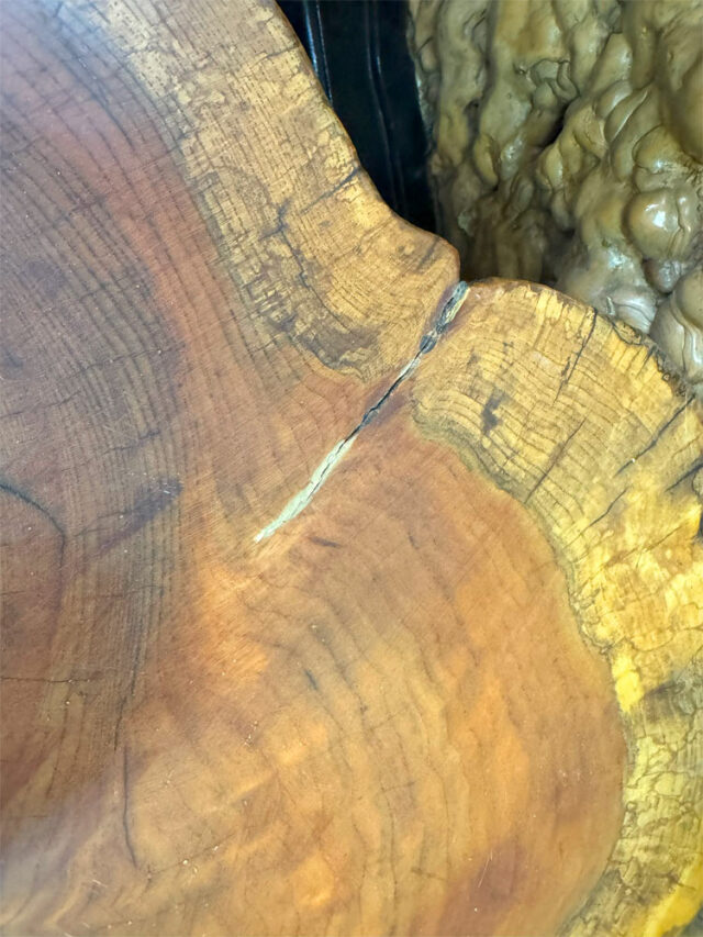 アウトレット家具