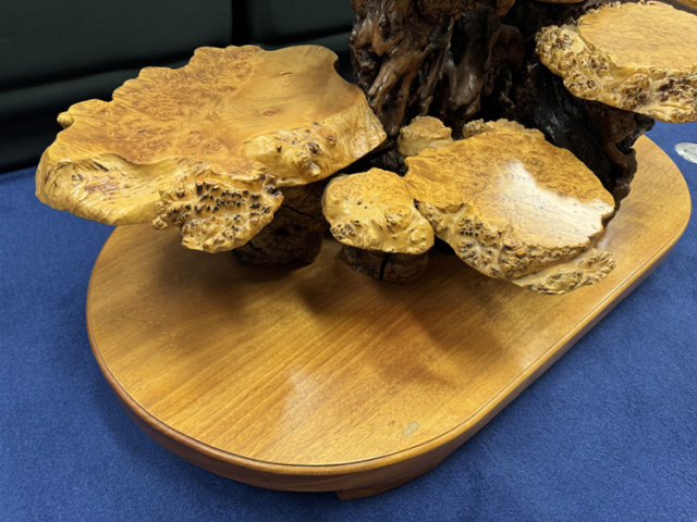 アウトレット家具