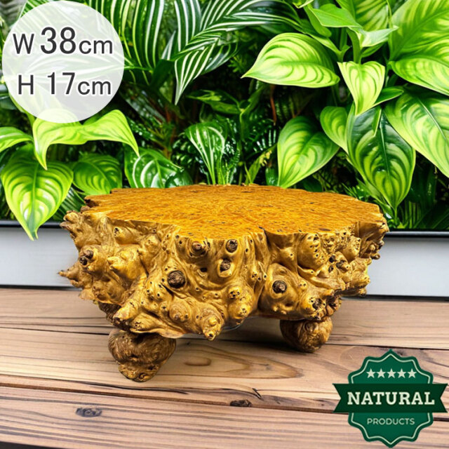 アウトレット 家具