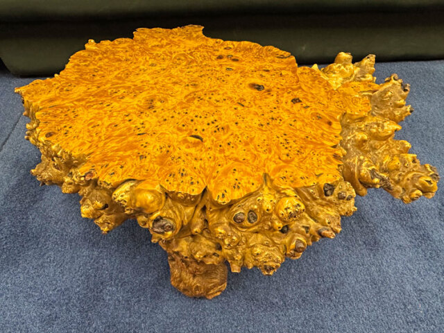 天然木 瘤（こぶ） 飾り台 花台 盆栽台 アウトレット 展示品 【商品