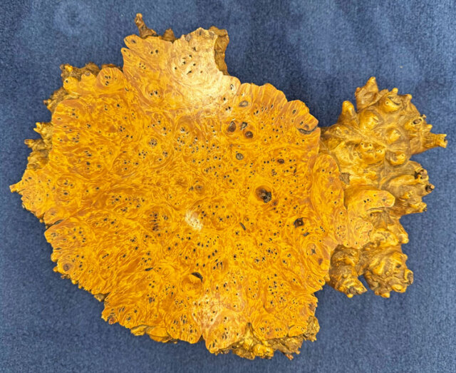 天然木 瘤（こぶ） 飾り台 花台 盆栽台 アウトレット 展示品 【商品