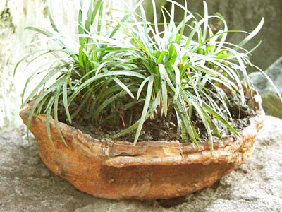 鉢・プランター・コーガ石・フラワーポット・山草・インテリア