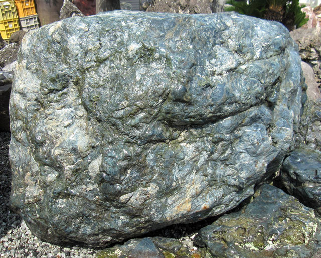幸太郎石 庭石 銘石 北海道 5.8尺 景石 天然石 幸を呼ぶ石 縁起石 伏石