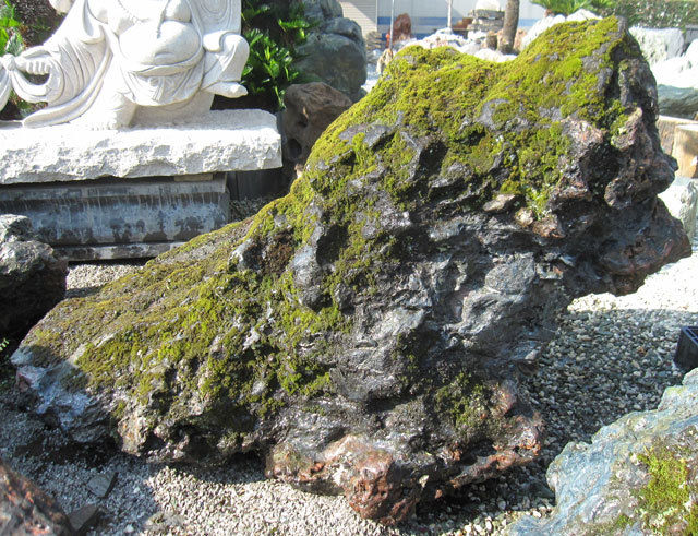 幸太郎石【台座付】 楽天市場】北海道 幸太郎石 庭石 銘石 幸太郎 和風 石庭 自然石 飾り石