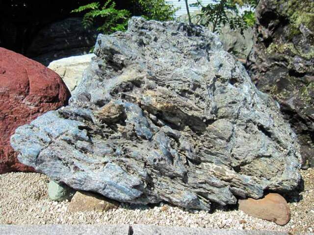 黒沢STONEです 特大鑑賞石、60センチ、幸太郎石、幸太郎石台座付き、 黒沢STONEです 特大鑑賞石、60センチ、幸太郎石、幸太郎石台座付き