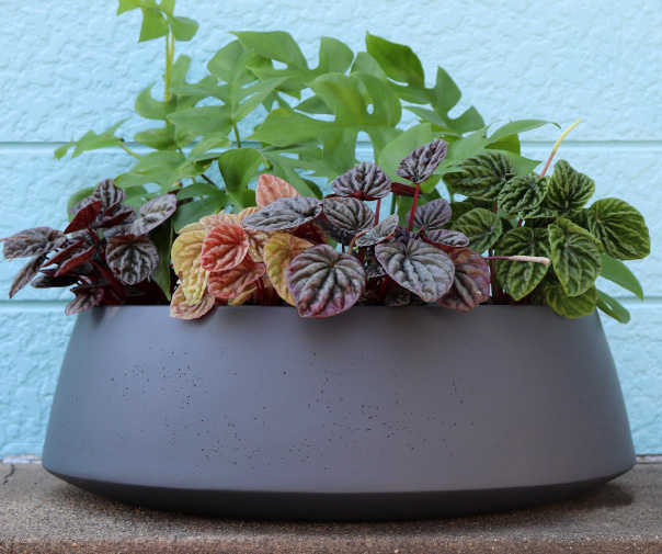 マリンファイバー