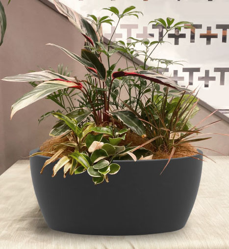 マリンファイバー