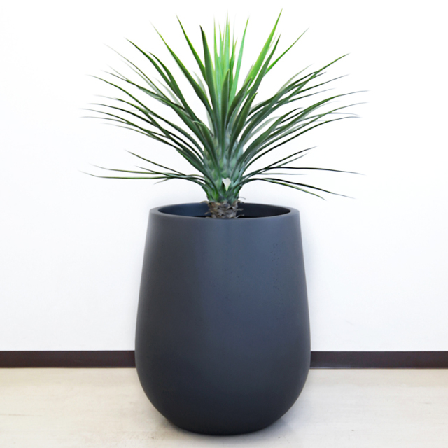 ティアドロップ