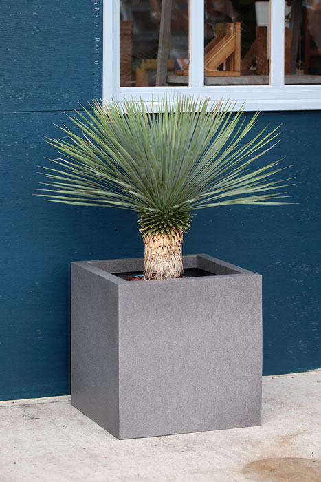 マリンファイバー