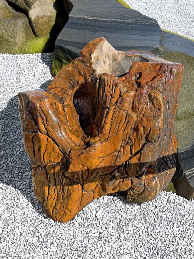 木化石　つくばい