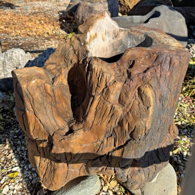 木化石 蹲 063 ツクバイ 手水鉢 水鉢 高さ59cm 銘石 庭石 一点もの 景