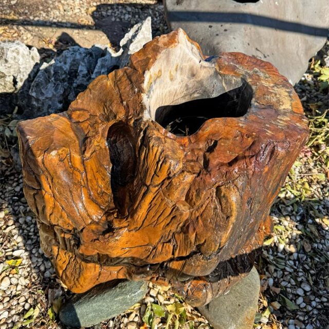 木化石 蹲 063 ツクバイ 手水鉢 水鉢 高さ59cm 銘石 庭石 一点もの 景