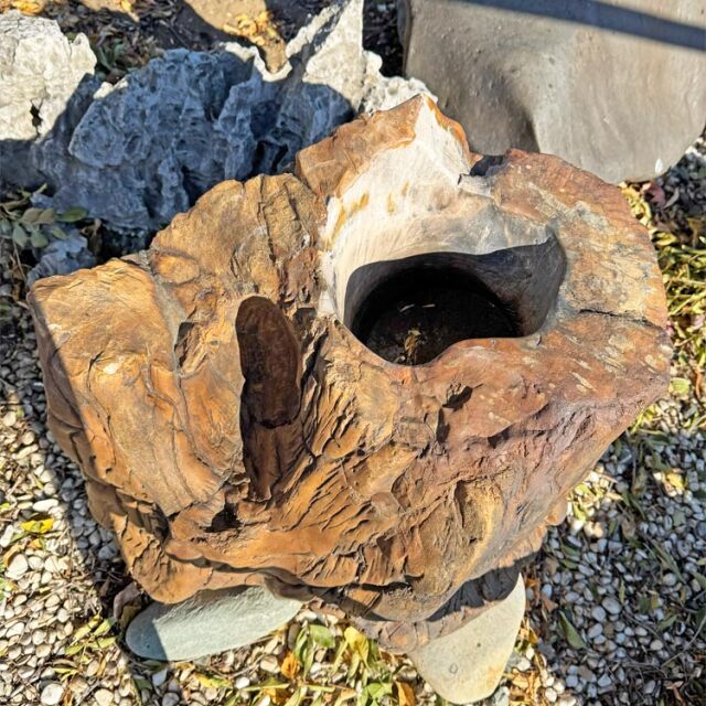 木化石 蹲 063 ツクバイ 手水鉢 水鉢 高さ59cm 銘石 庭石 一点もの 景