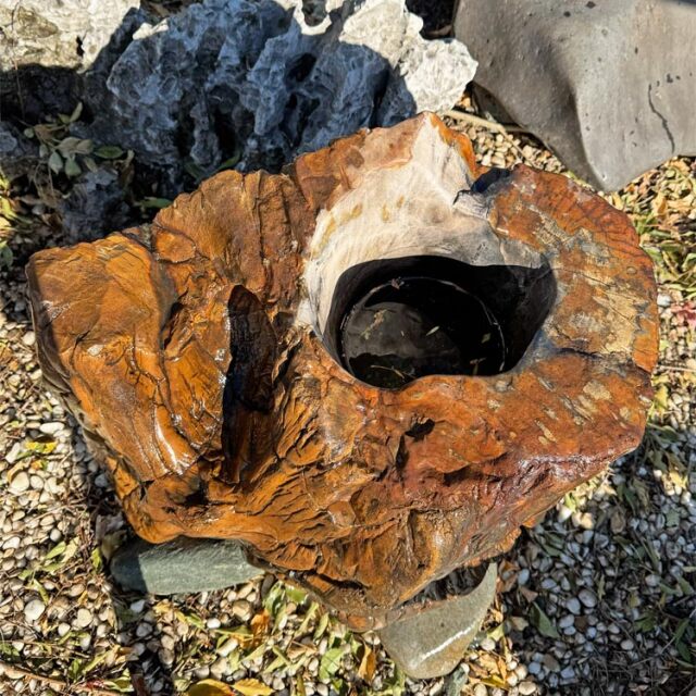 木化石 蹲 063 ツクバイ 手水鉢 水鉢 高さ59cm 銘石 庭石 一点もの 景