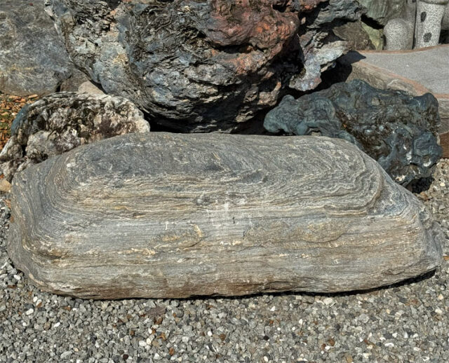 三波石 銘石 景石 庭石 天然石 145cm 群馬県産 青石 沓脱石 踏み石