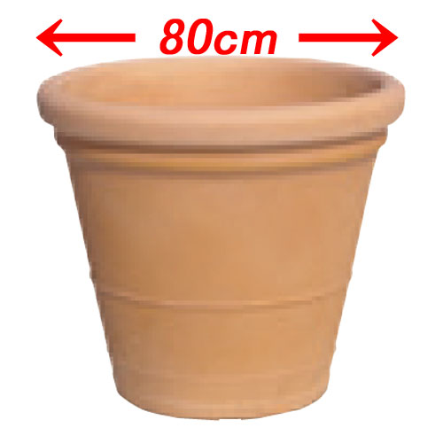 大型プランター