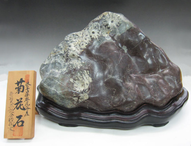 菊花石（きっかせき）の販売ページです。