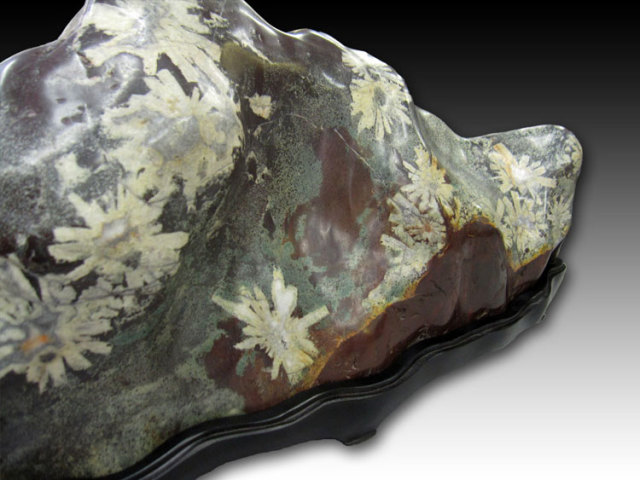 菊花石 岐阜根尾谷産を販売している増樹です。根尾谷の菊花石は大変