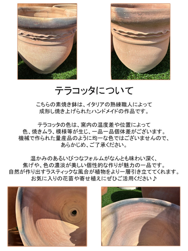 テラコッタ