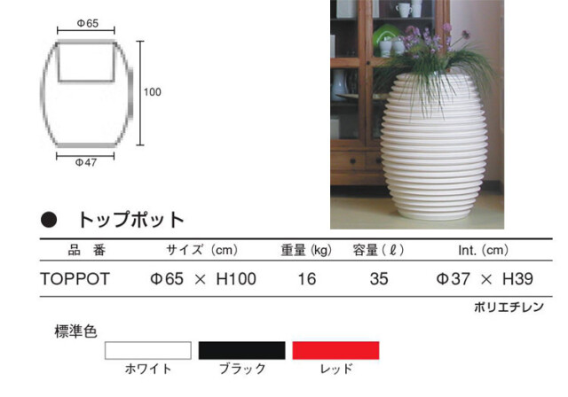 セラルンガ
