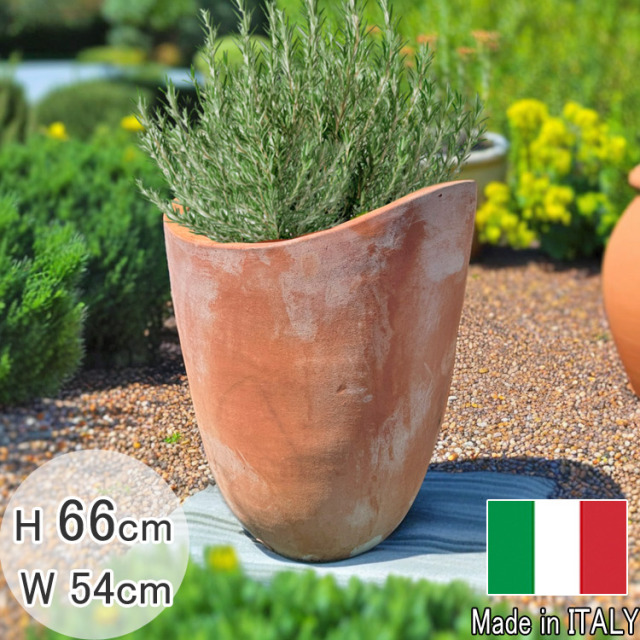 テラコッタ プランター