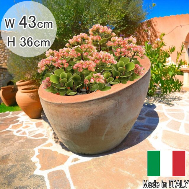 テラコッタ プランター