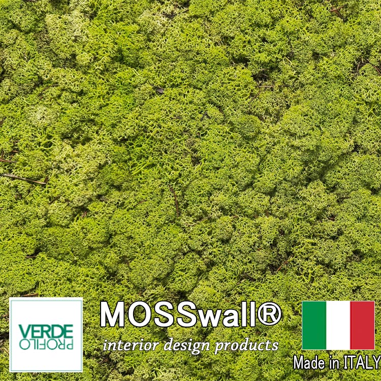 VERDE PROFILO社製 モスウォール 600×400 苔パネル mw02　【特別セール品】