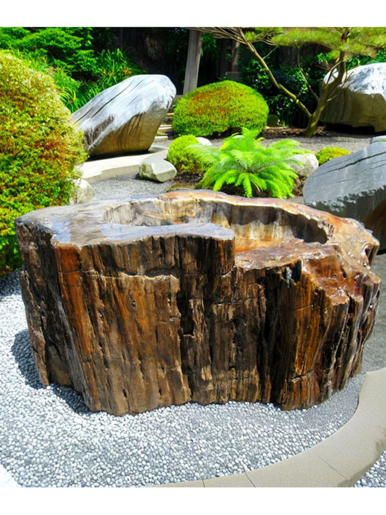 木化石 蹲(つくばい) 049の手水鉢・珪化木は庭石販売の増樹です。