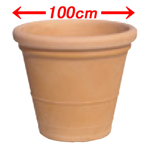 大型プランター