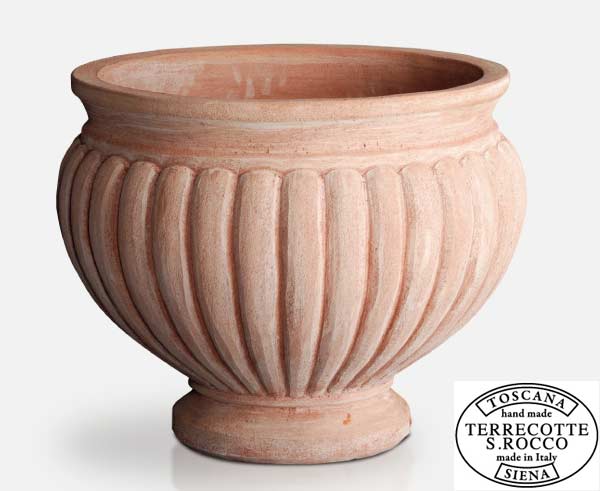 スキャネラッタ