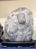 菊花石 天然石 飾石 模様石 縦約25横30cm 重量約10.8kg 台座付き 菊花石 天然石 飾石 模様石 縦約25横30cm 重量約10.8kg