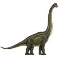 ブラキオサウルス 恐竜 オブジェ