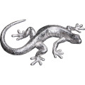 ヤモリ オブジェ