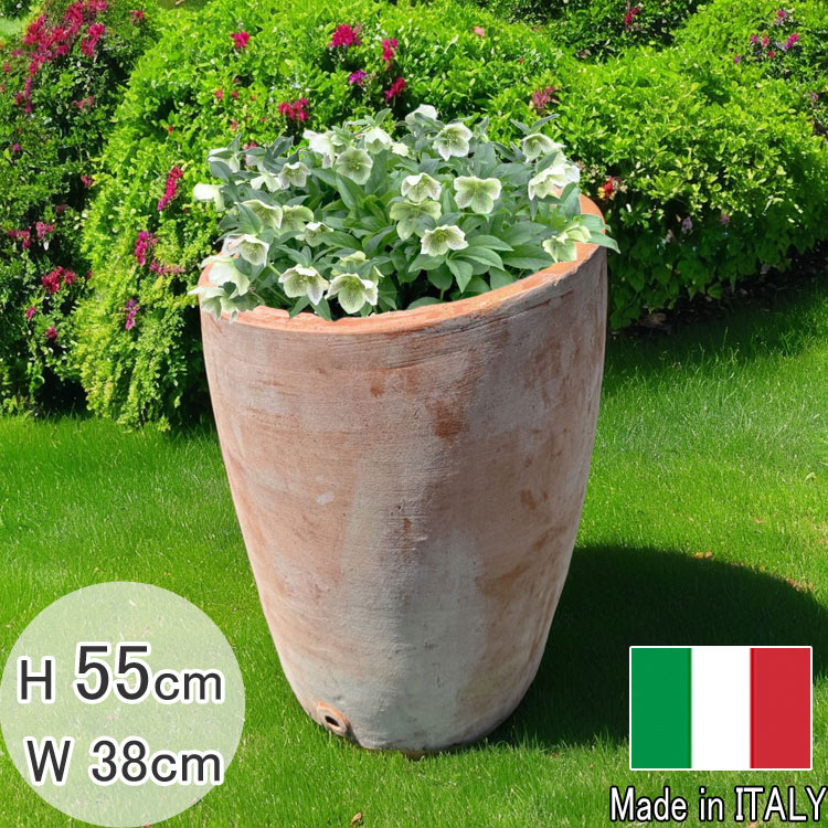 テラコッタ プランター