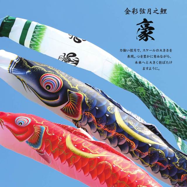 ggyij.jpg?t=20231106133213