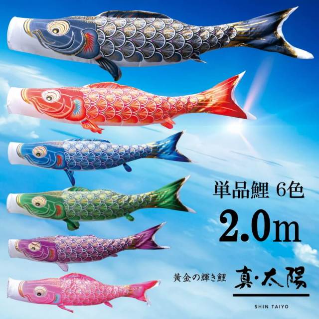 【単品鯉】真・太陽　単品鯉のぼり(取付け金具セット)鯉のぼり 徳永鯉 こいのぼり単品 撥水加工 2.0m 選べる６色 10002573