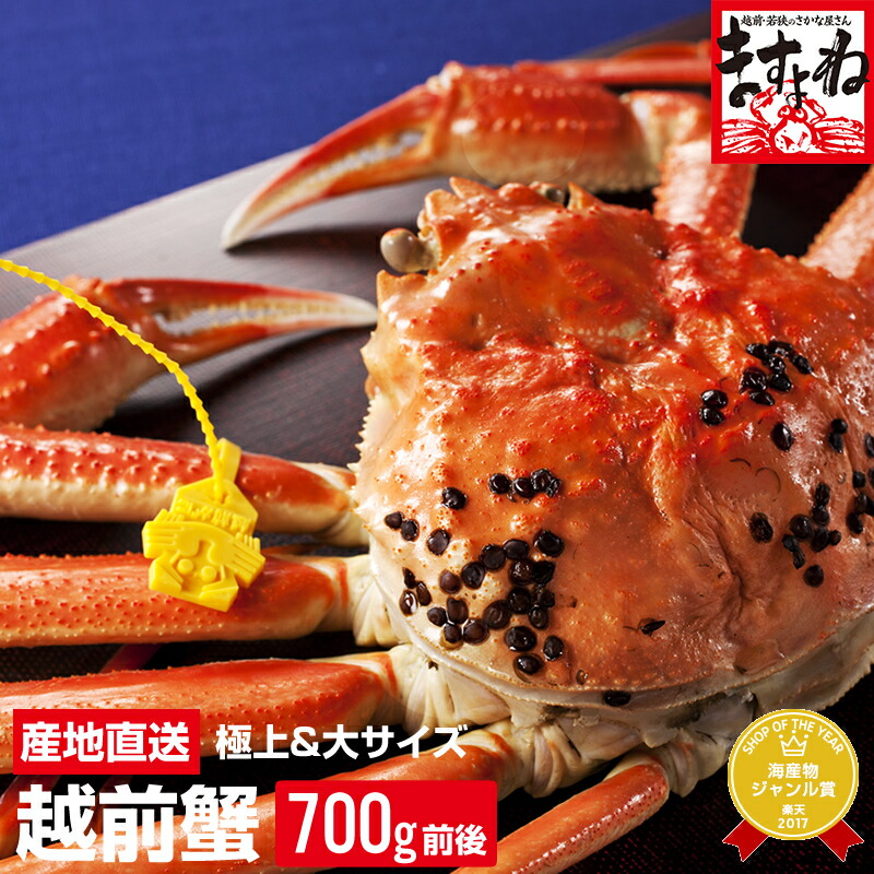 【19,800円送料無料！】福井県敦賀市産 越前ガニ【冬の味覚の王者】[茹でたて産地直送]越前がに700g前後