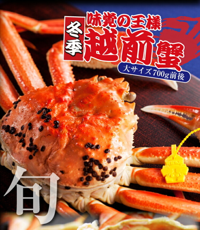 福井県敦賀市産 越前ガニ 冬の味覚の王者 茹でたて産地直送 越前がに700g前後 かに カニ 蟹 越前かに 越前カニ 越前蟹 ズワイ蟹 ズワイガニ ずわい かに カニ