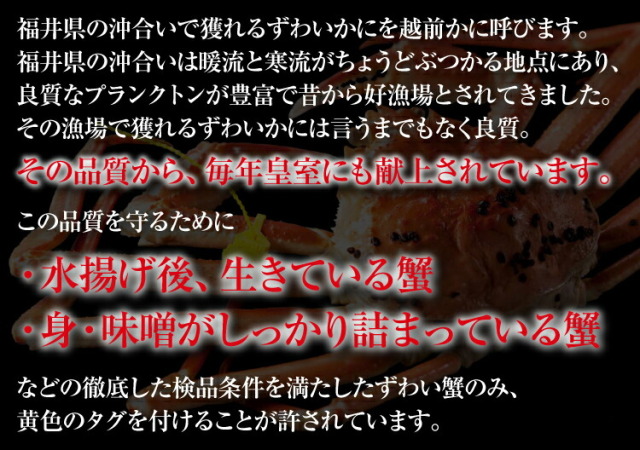 福井県敦賀市産 越前ガニ 冬の味覚の王者 茹でたて産地直送 越前がに700g前後 かに カニ 蟹 越前かに 越前カニ 越前蟹 ズワイ蟹 ズワイガニ ずわい かに カニ