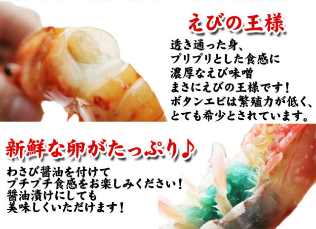 特大3lサイズ厳選 最高級ボタンエビ1kg ギフトにもお勧め えび エビ 海老 ぼたんえび ボタンエビ 刺身 海鮮丼 q