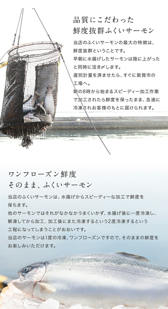 ふくいサーモンお刺身セット／ふくいブランドのサーモン600g～700g