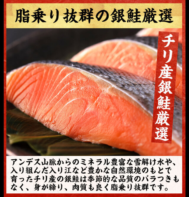 甘塩銀鮭切り身 8切 定塩 約5g 送料無料 鮭 サケ 塩焼き 切り身 賞味期限21 10 12まで 甘塩銀鮭切り身 8切 定塩 約5g 送料無料 鮭 サケ 塩焼き 切り身 賞味期限21 10 12まで