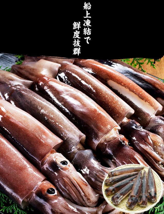 日本海産お刺身用するめいか 真イカ 中型サイズ 7ハイ 1 5kg前後 送料無料 レビュー高評価4 66 1 039件頂きました いか イカ 烏賊 刺身 スルメイカ 海鮮 魚介 海の幸 海鮮丼