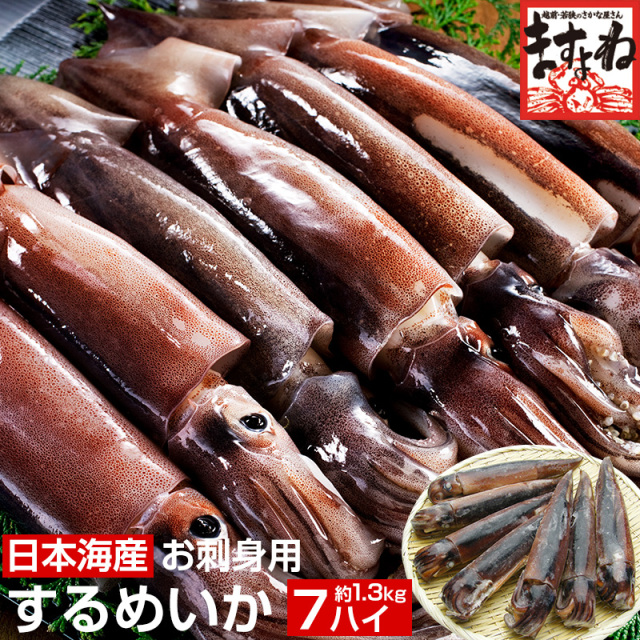 日本海産お刺身用するめいか（真イカ）中型サイズ×7ハイ(1.3kg前後)[送料無料]
