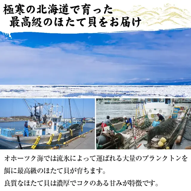 海 おまとめで送料分の割引ありページ 海 おまとめで送料分お値引あります様 リクエスト 2点 まとめ商品