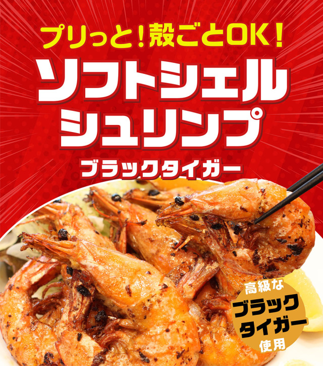 ブラックタイガーシュリンプ50匹特別価格‼