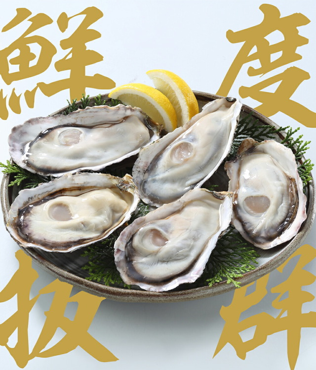牡蠣 カキ かき 生牡蠣 生カキ お刺身で食べれる♪兵庫県室津産