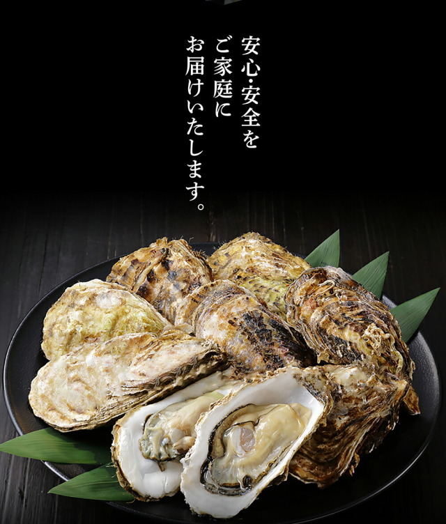 牡蠣 カキ かき 生牡蠣 生カキ お刺身で食べれる♪兵庫県室津産